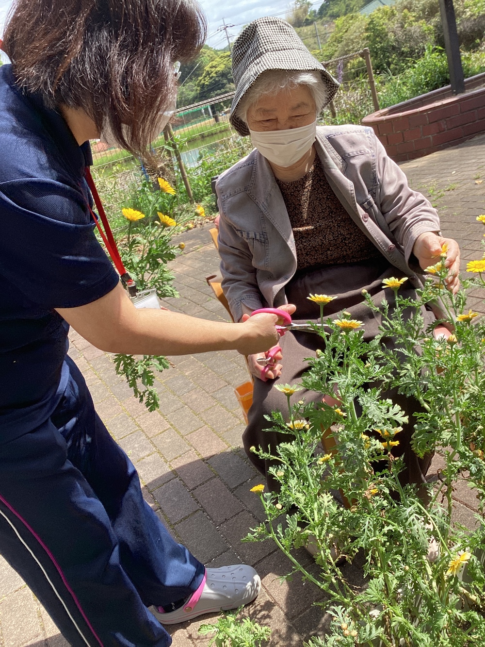 園芸活動