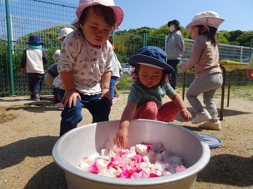 園庭遊び (2)