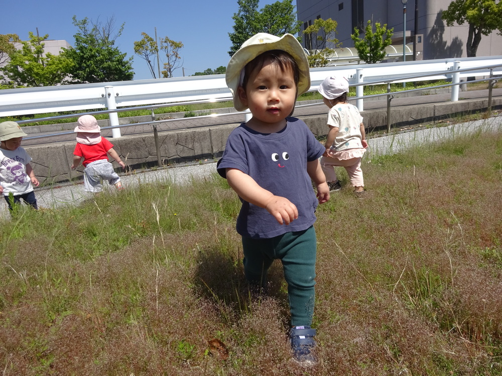 芝生の上を歩く男の子