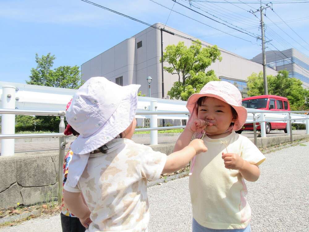 あすてらす公園　散歩の様子 