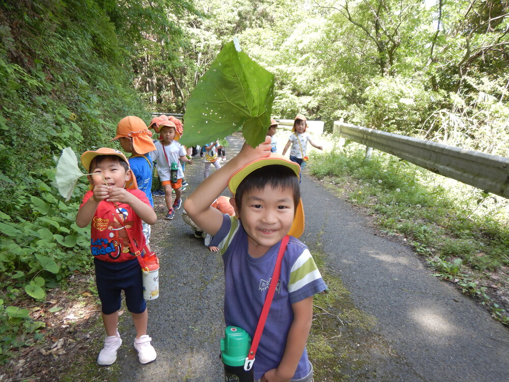 頭にはっぱをのせている