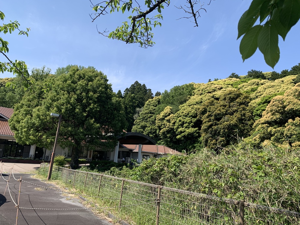 歩行訓練