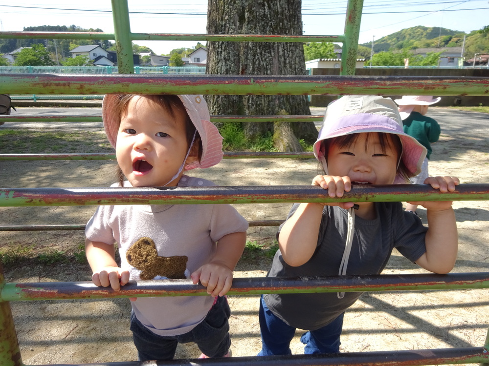 肋木から顔を出す女の子たち