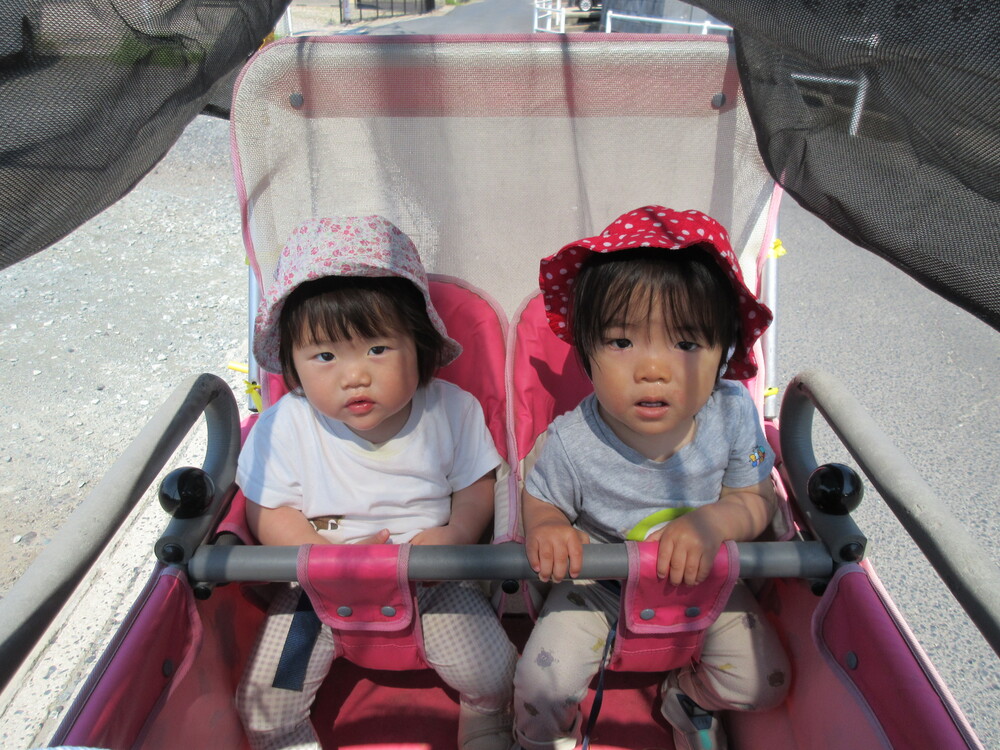 散歩車に乗っている