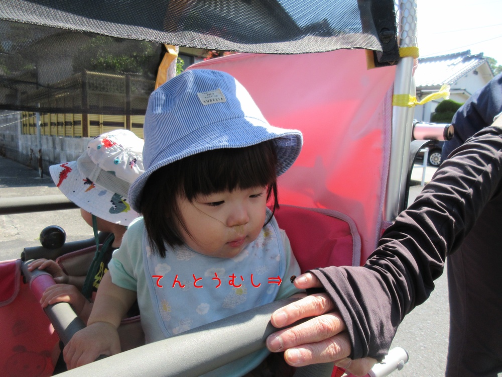 てんとう虫を見ている