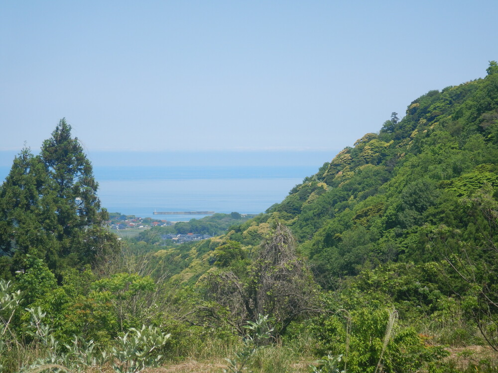 海