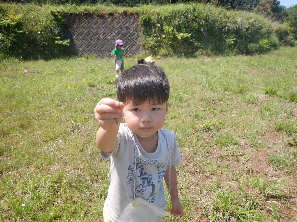ムシを見つける子ども