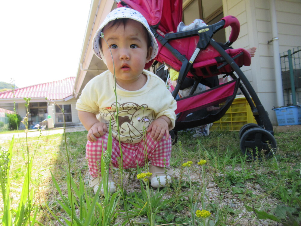 お花を近くで観察する子ども