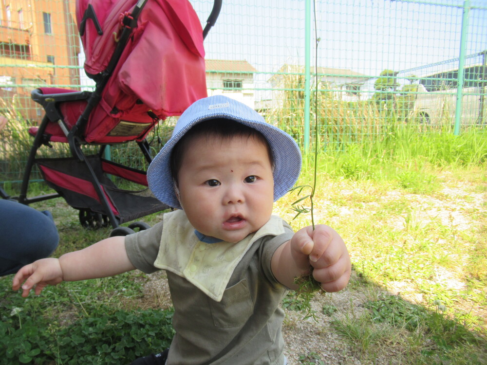 保育者にお花をプレゼントしてくれる子ども