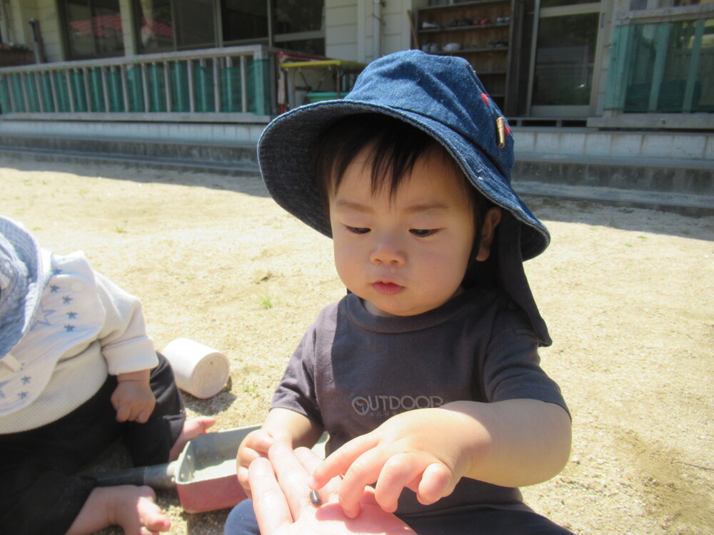 ダンゴムシを触る子ども