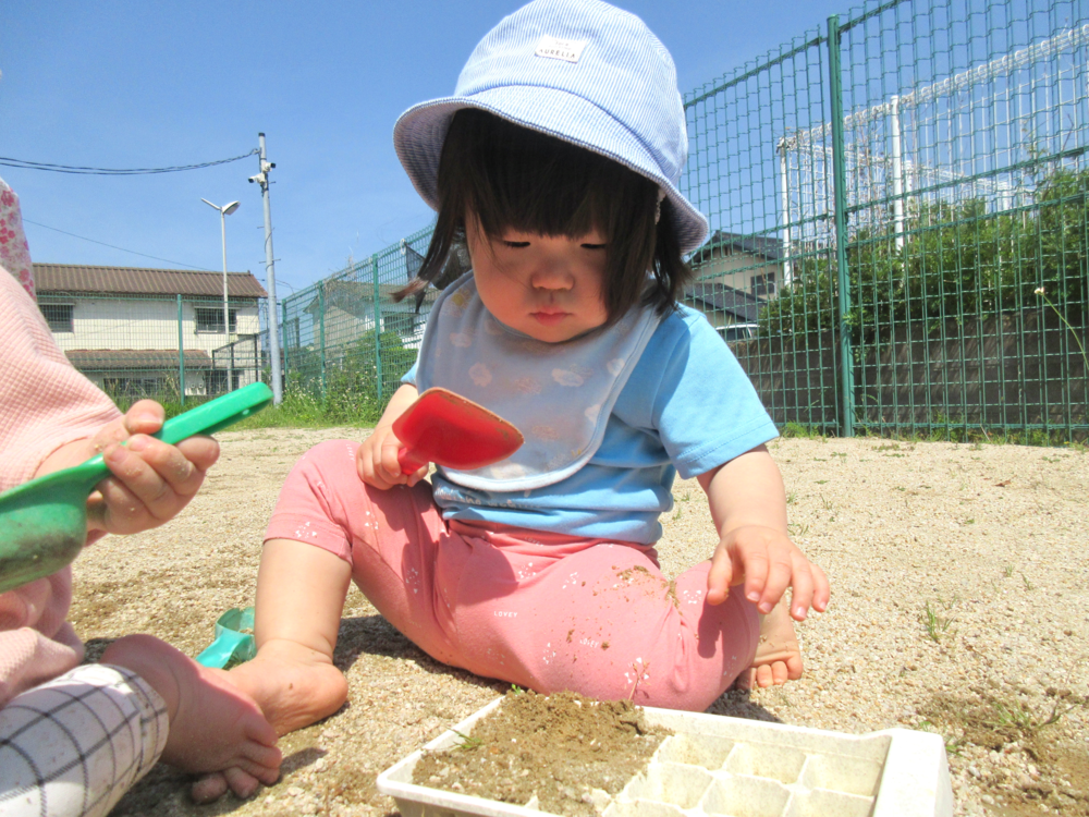 園庭あそびの様子