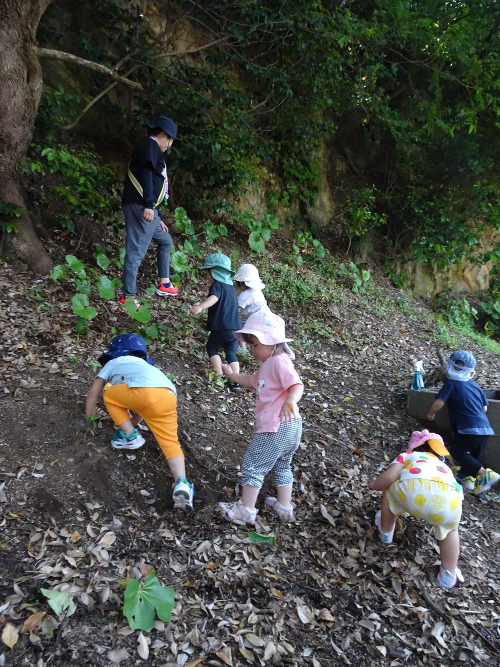 お散歩 (10)