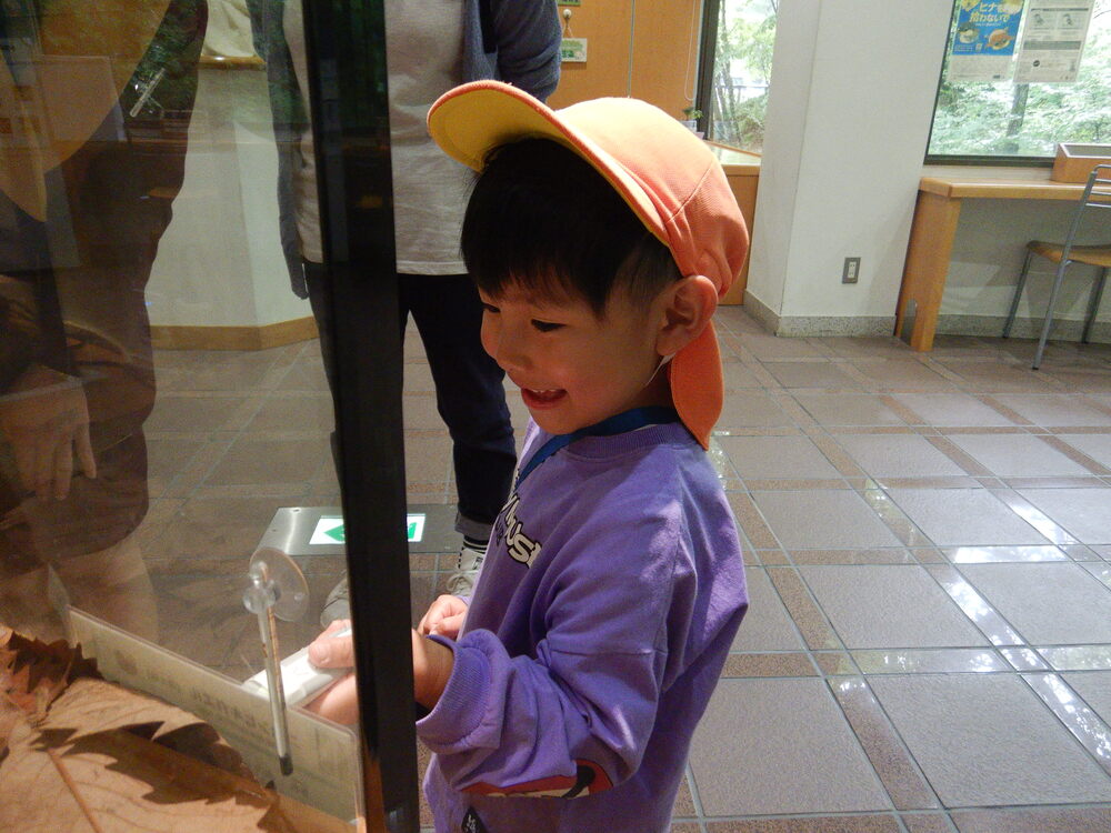 生き物を見る