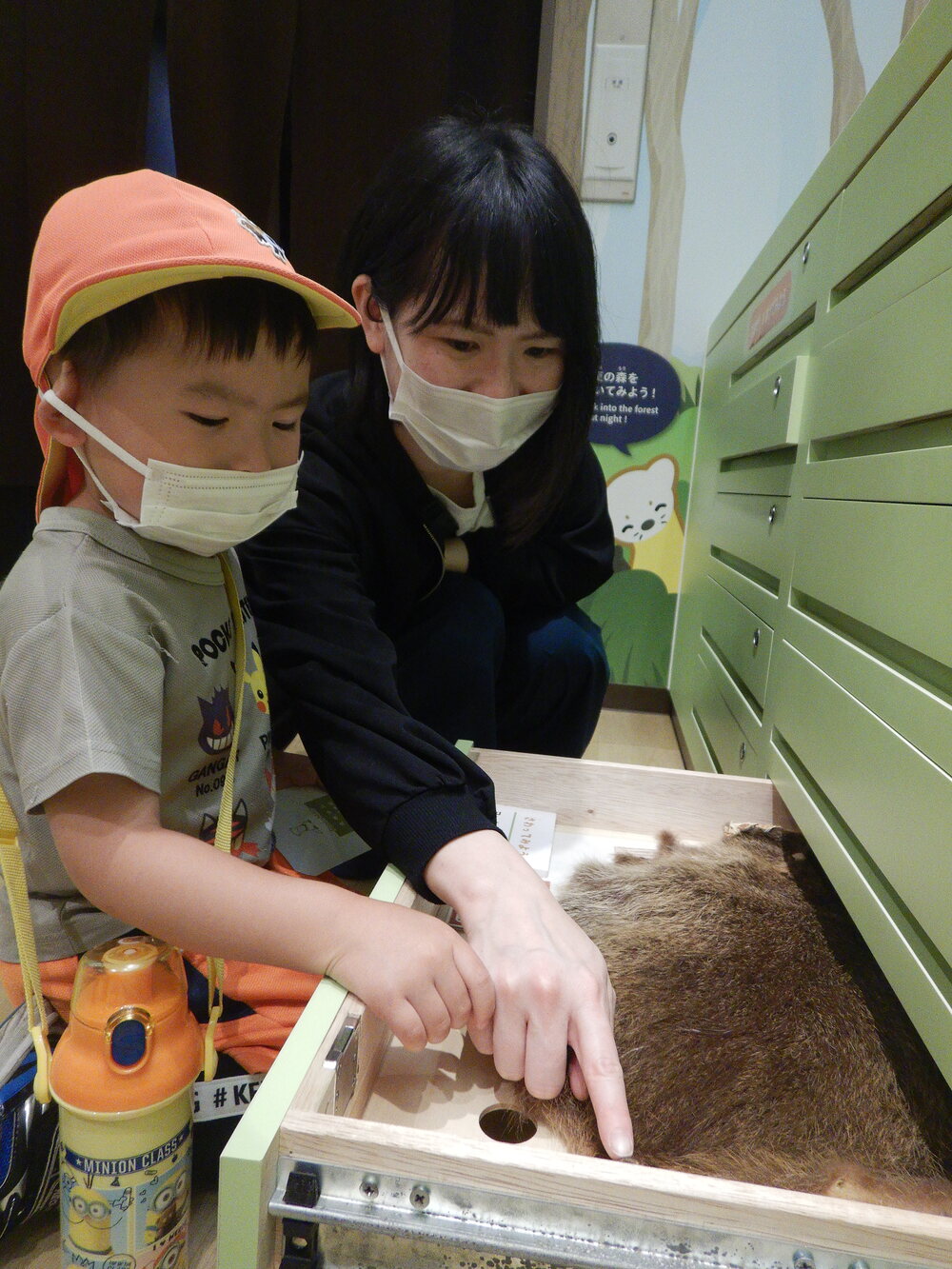 動物の皮を触る