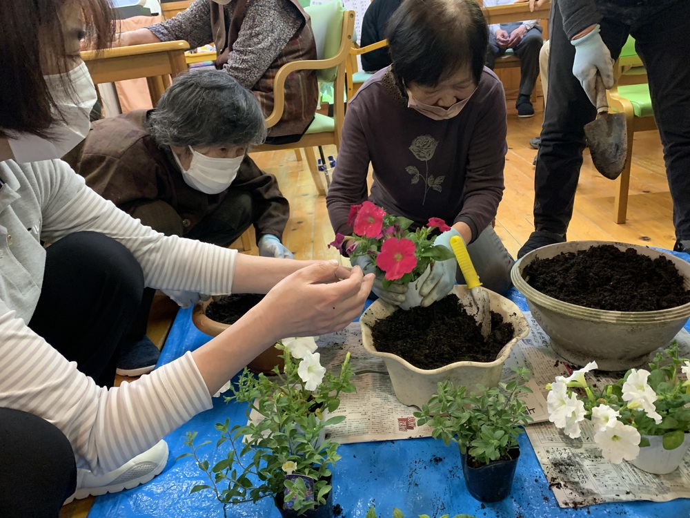 植え替え
