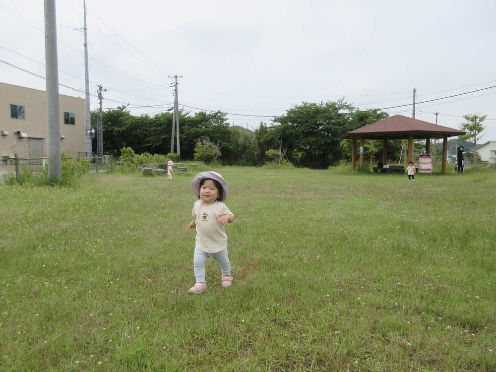 散歩の様子