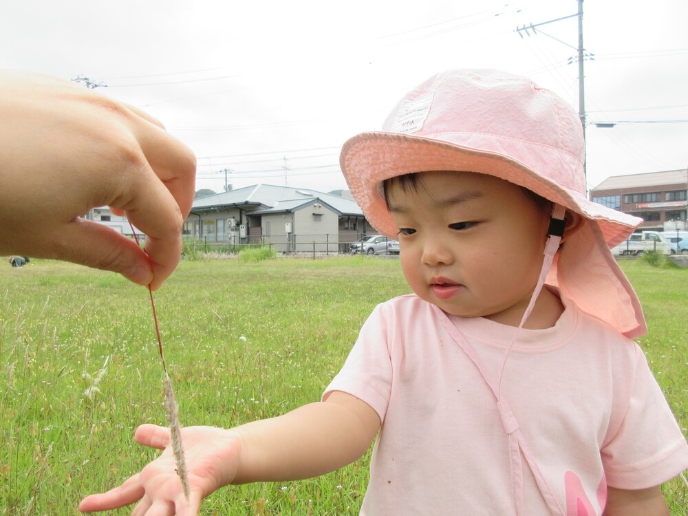 お散歩の様子