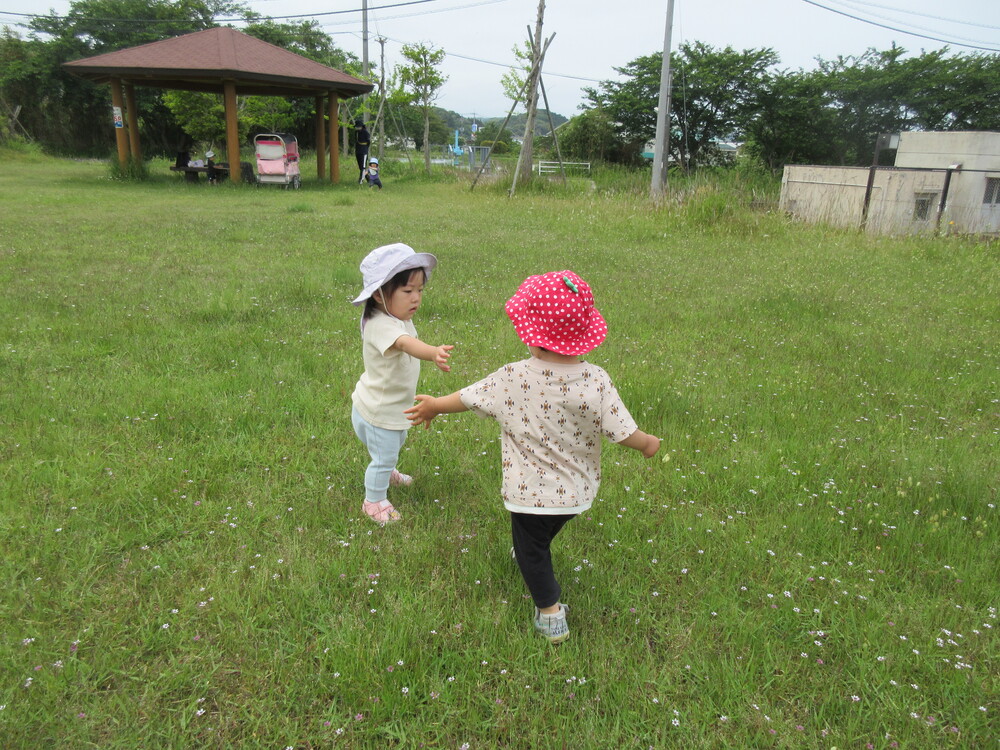 お散歩の様子