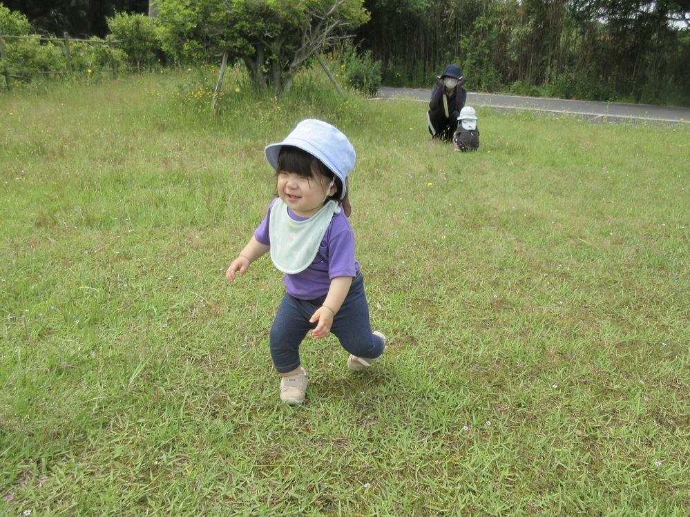 お散歩の様子