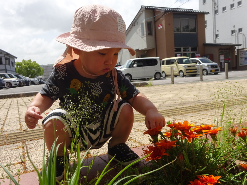 お花を見ている男の子