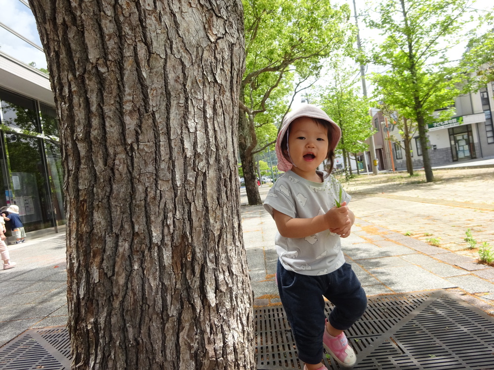 木の陰から「ばぁ」と顔を出す女の子