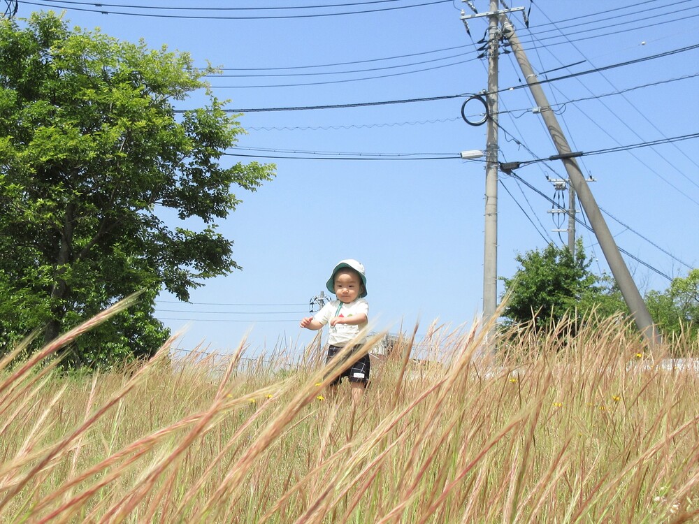 散歩の様子