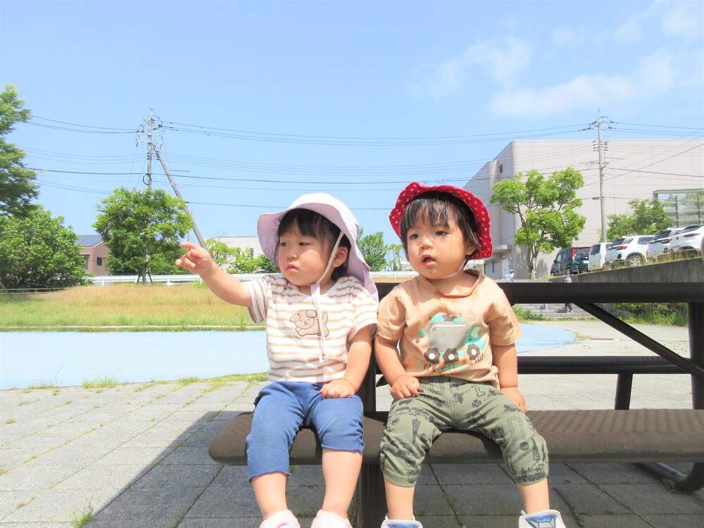 散歩の様子 