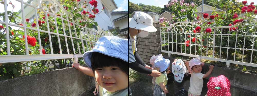 バラを見ている