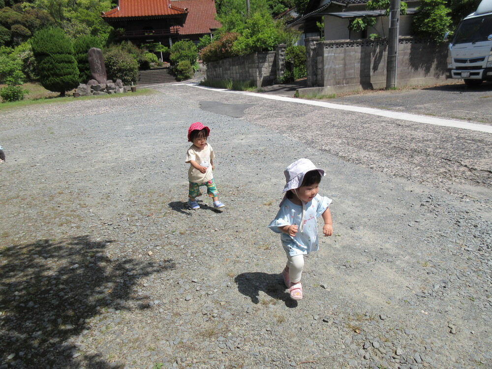 追いかけっこをしている