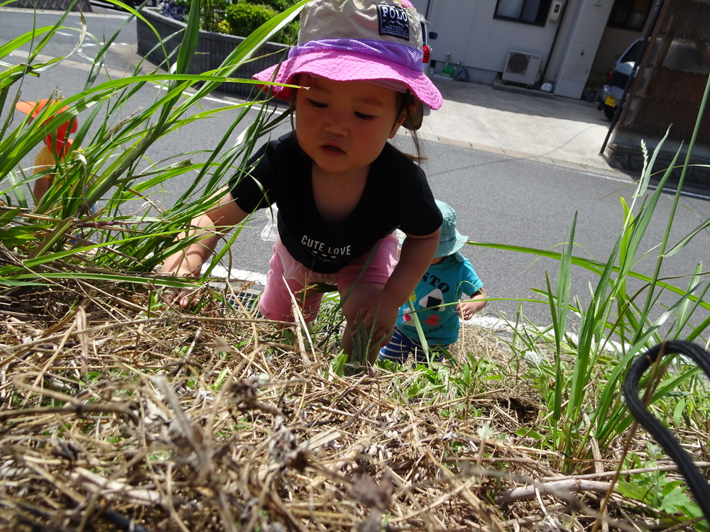 お散歩 (5)
