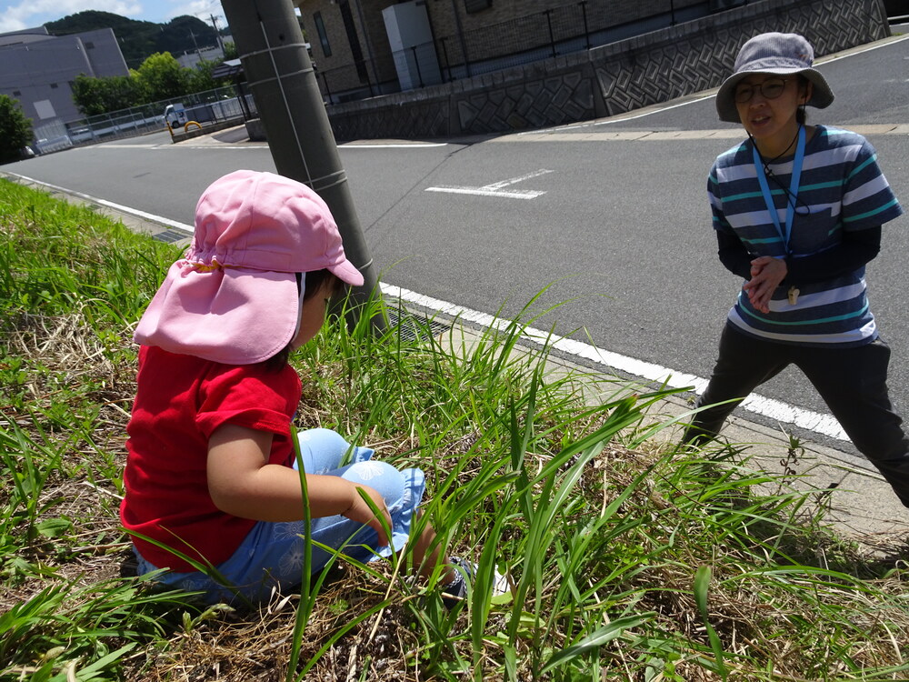 お散歩 (10)