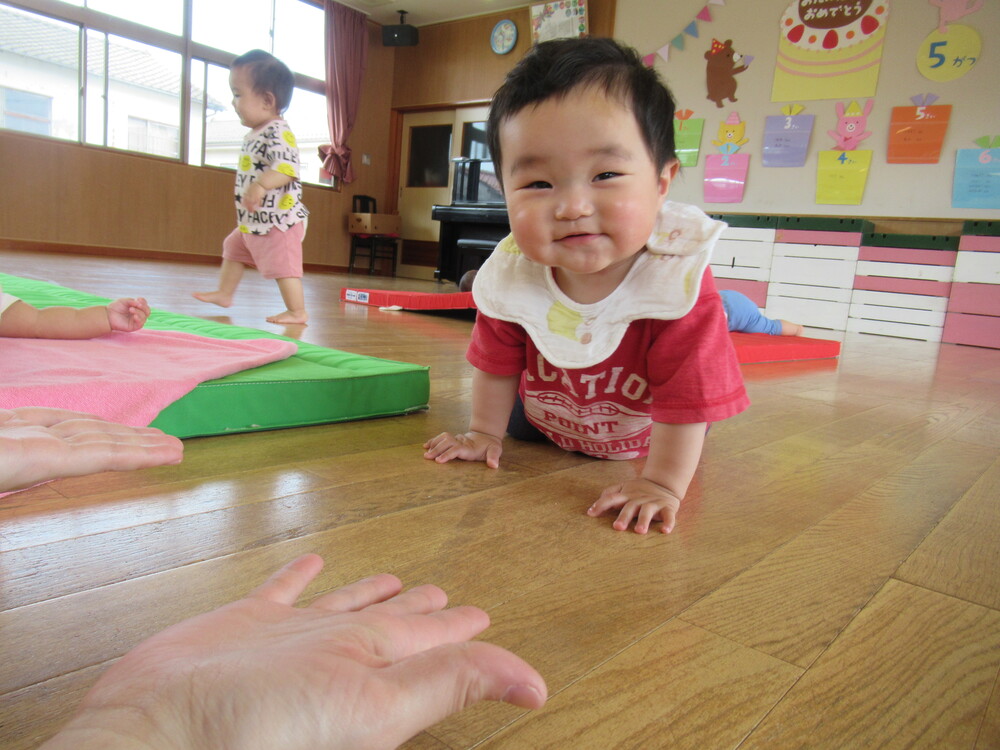 ハイハイで探検をしている子ども