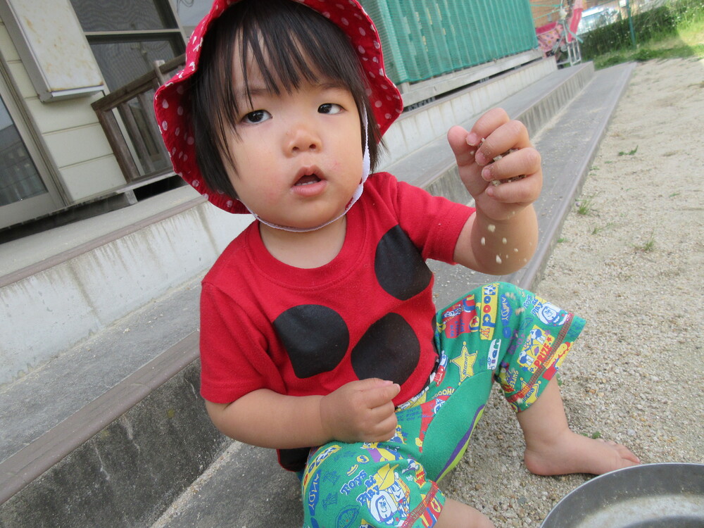 園庭遊びの様子