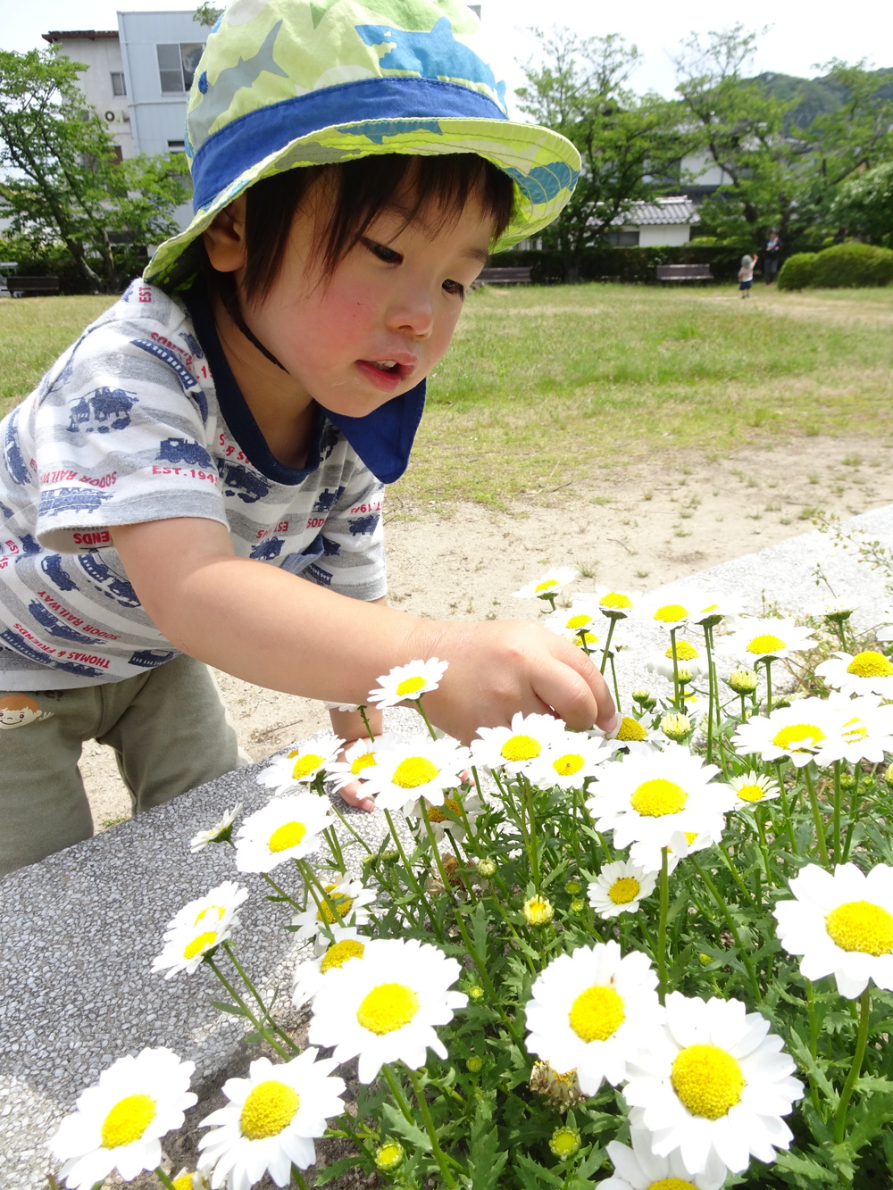 お散歩 (5)