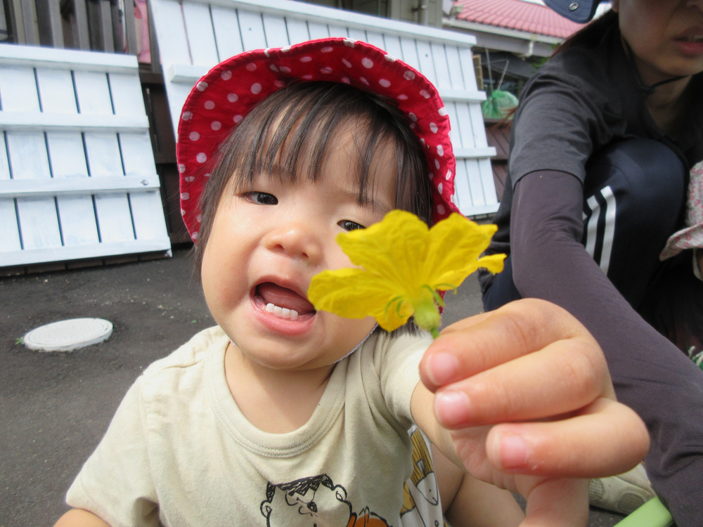CBADF3C9-A726-429F-937B-73AF66A4E3F2
