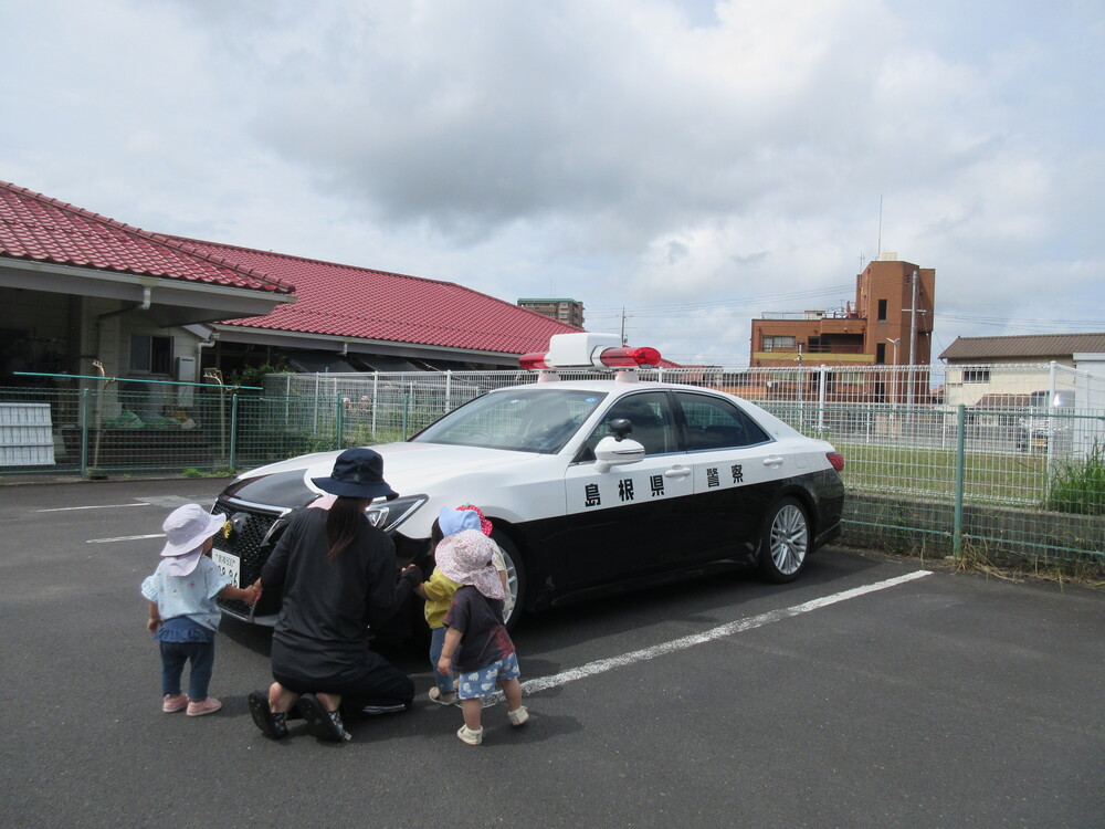 パトカーを見ている様子