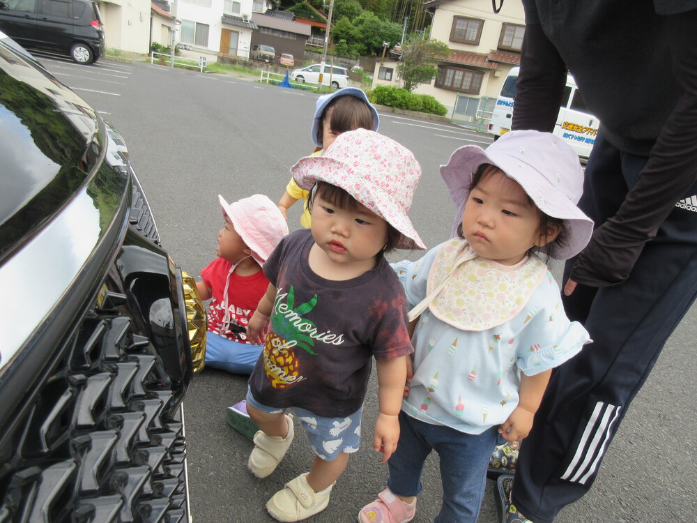 パトカーを見ている様子