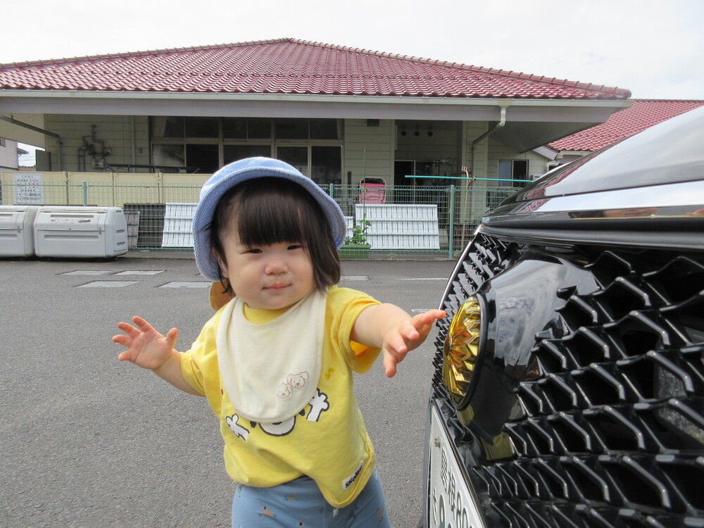 パトカーを見ている様子