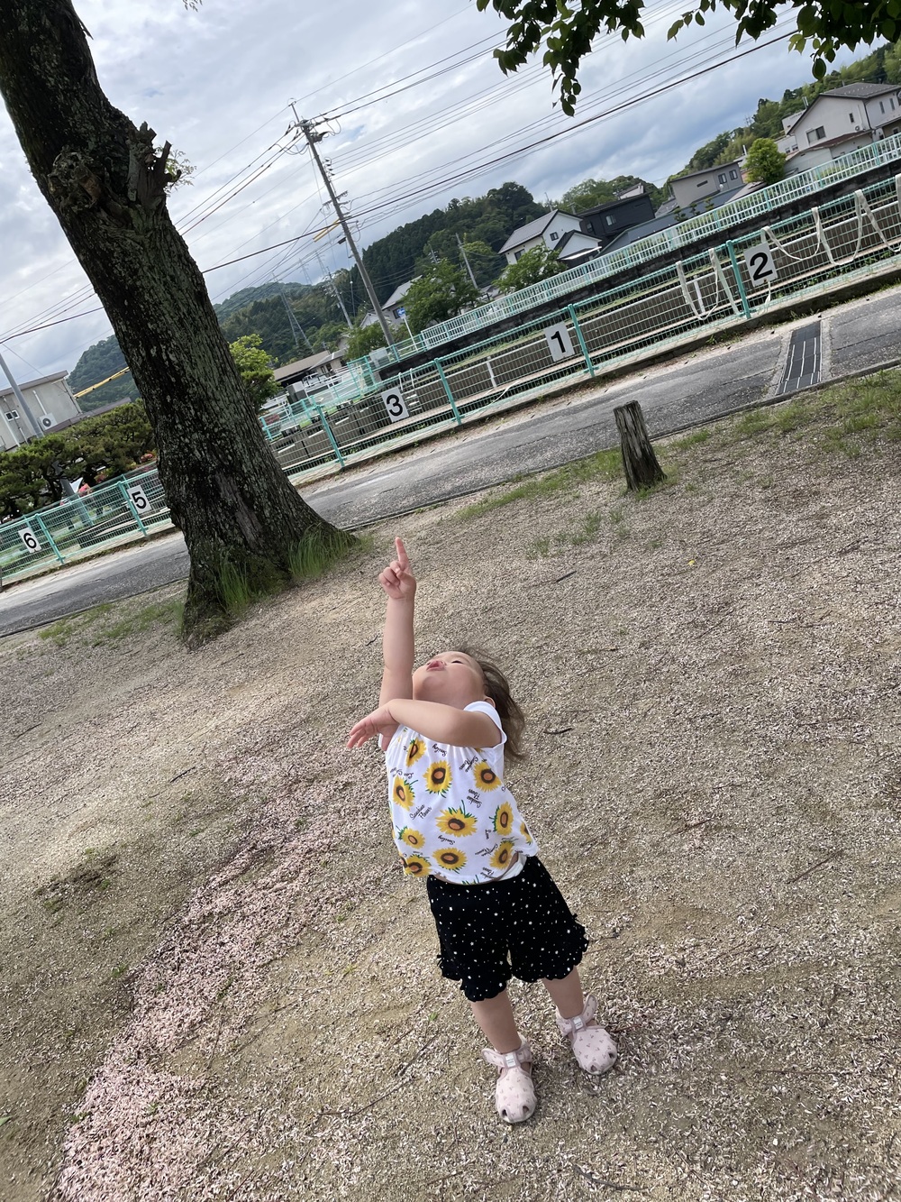 大田小学校 (11)