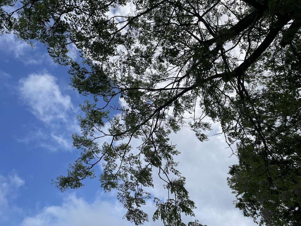 大田小学校 (15)