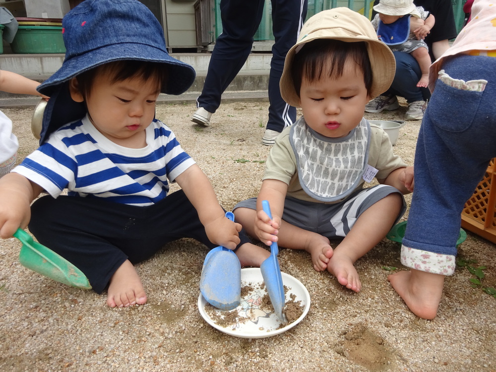 いちご組さんと一緒に遊ぶ男の子