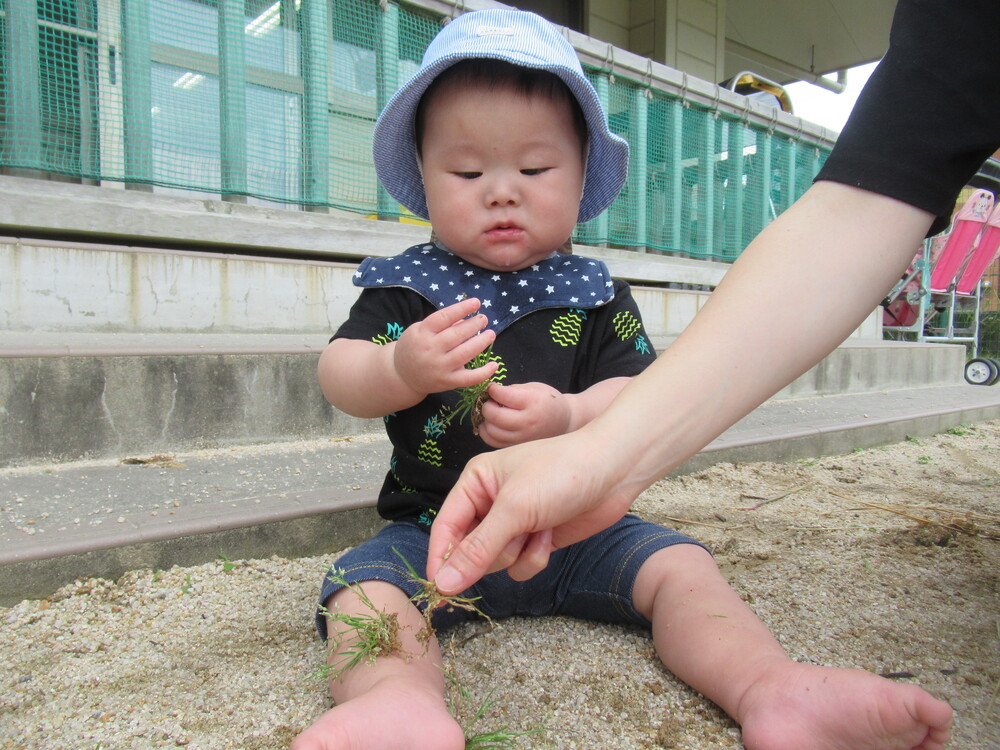 草を観察する子ども