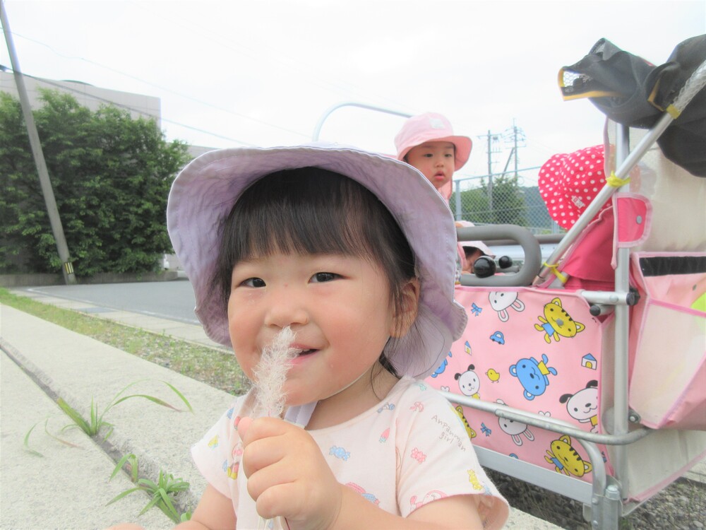散歩の様子 