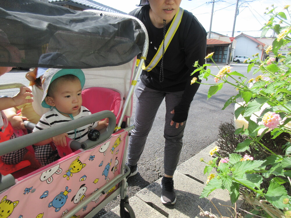 お花をみている１