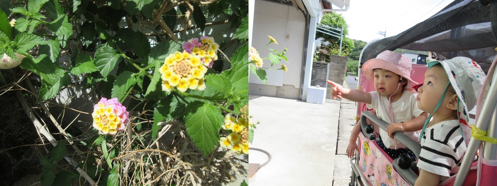 お花を見ている２
