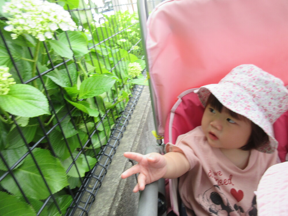 お花を見ている３