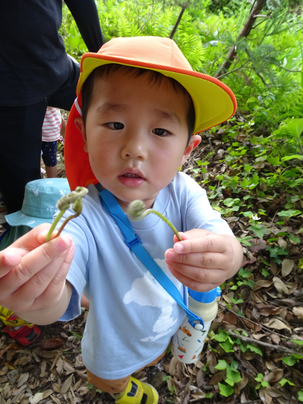 裏山散歩 (4)