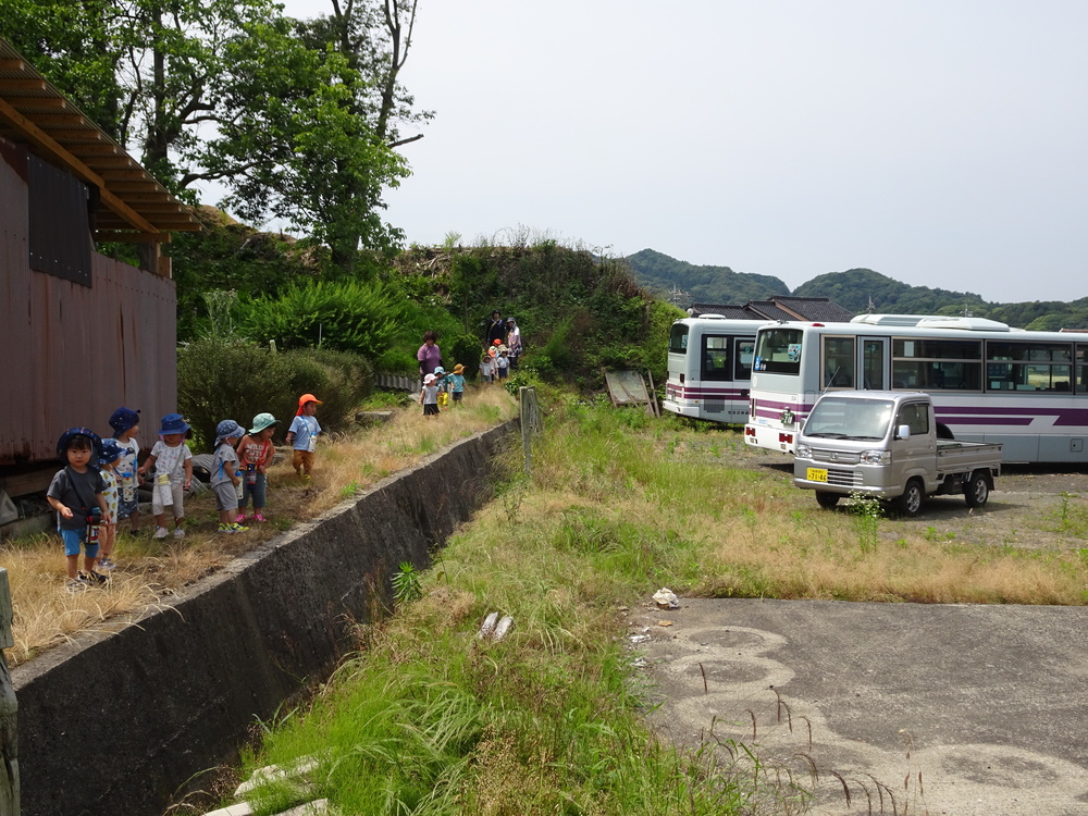 裏山散歩 (6)