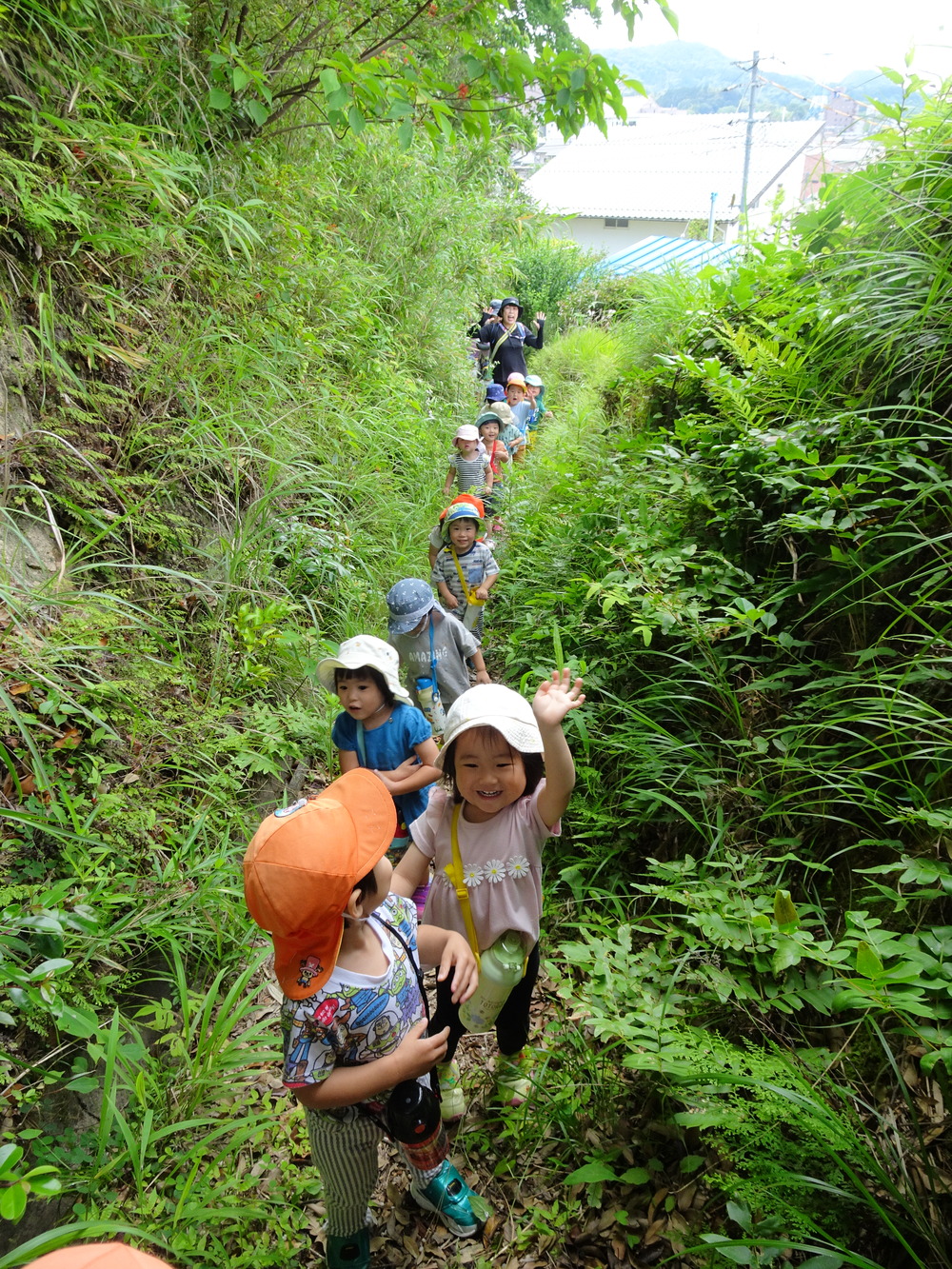 裏山散歩 (12)