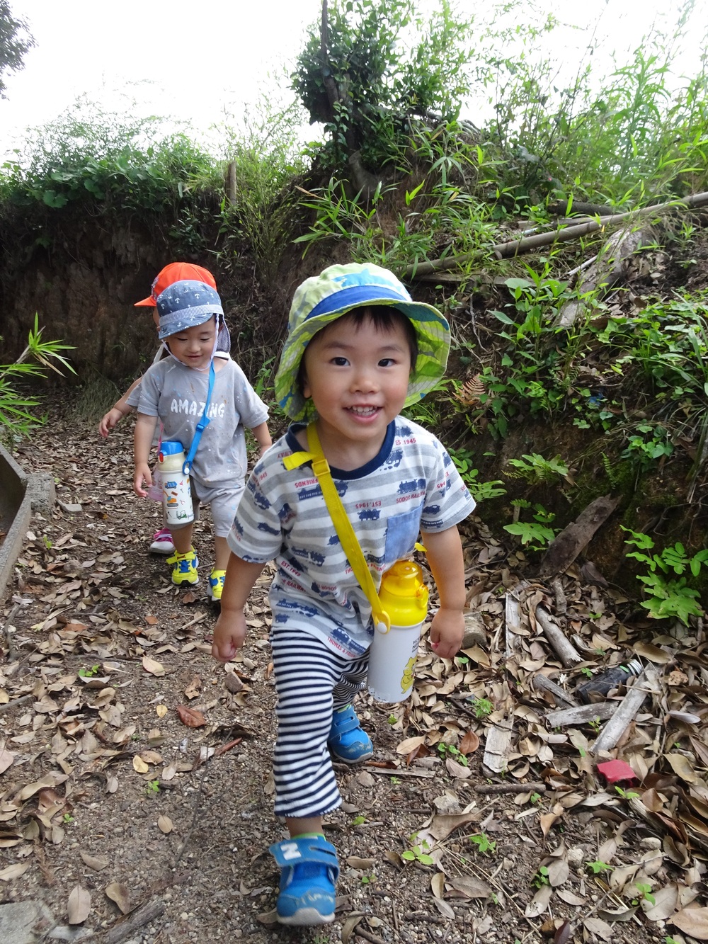 裏山散歩 (2)